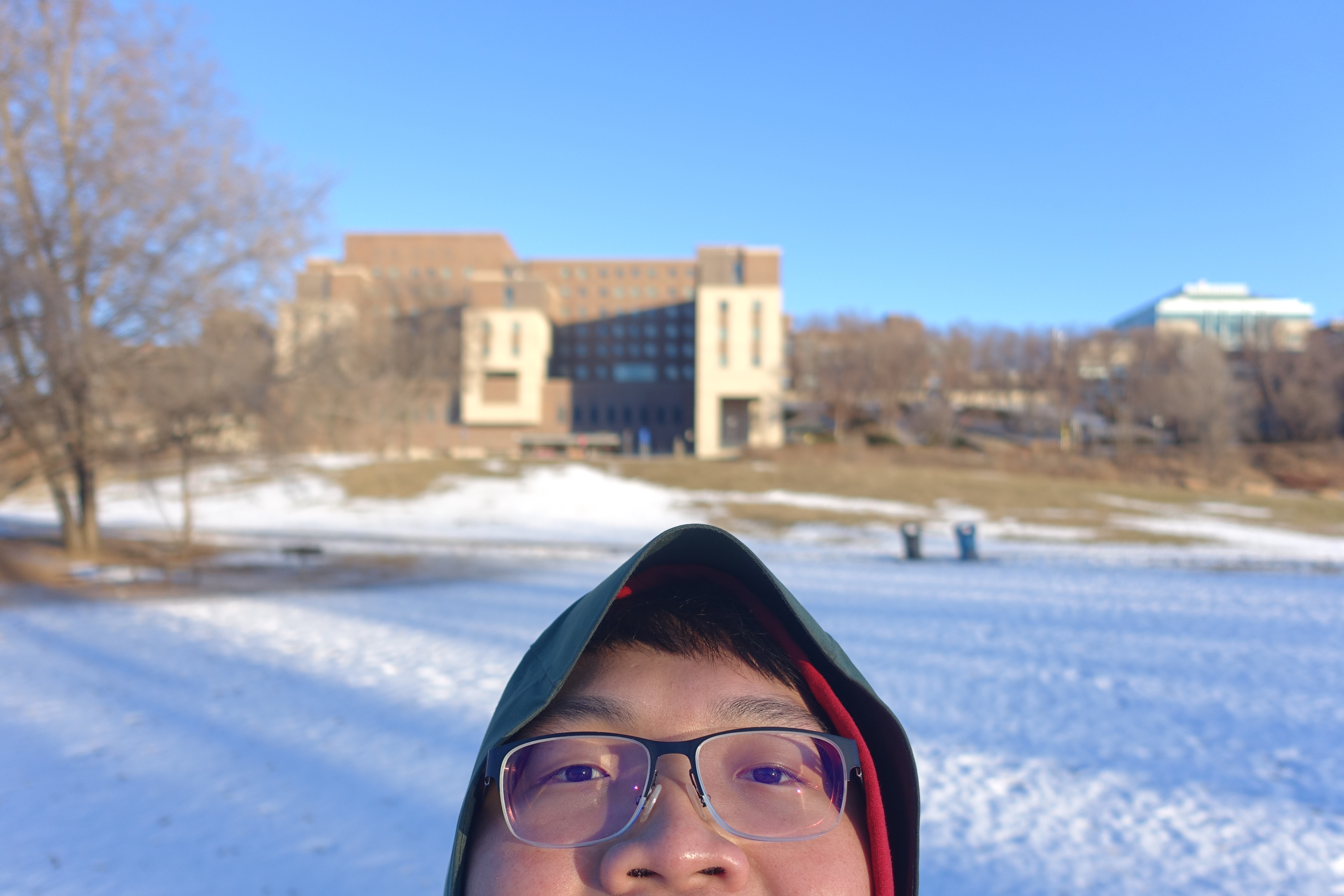 爛泥的生存祕笈